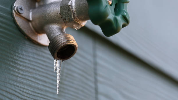 Best Local Plumber Services  in Danville, CA